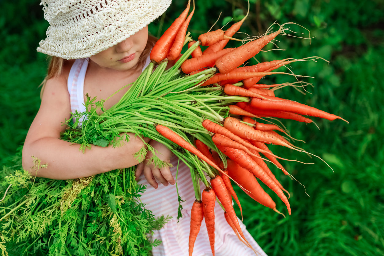 5 Nutrient Rich Foods That Develop Great Dental Health